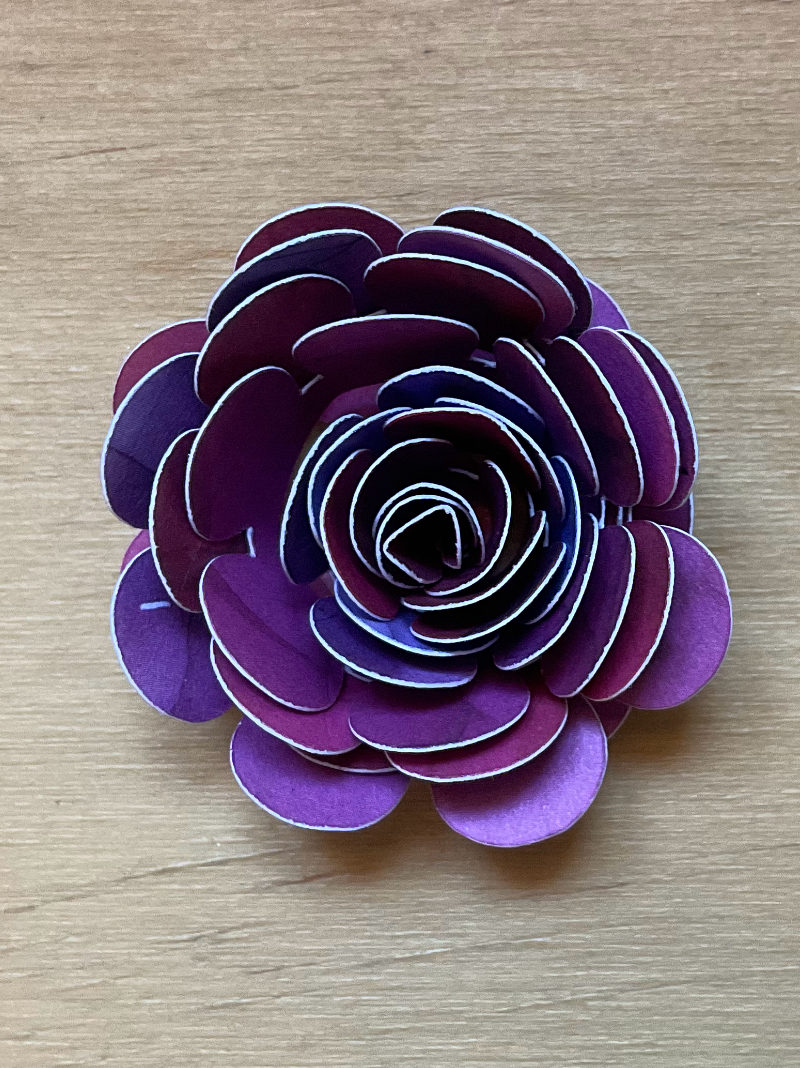 Final flores con Cricut