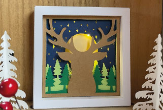 Shadow Box